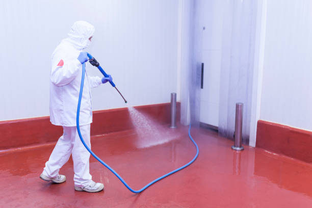 Best Parking Lot and Garage Cleaning  in Holiday, FL