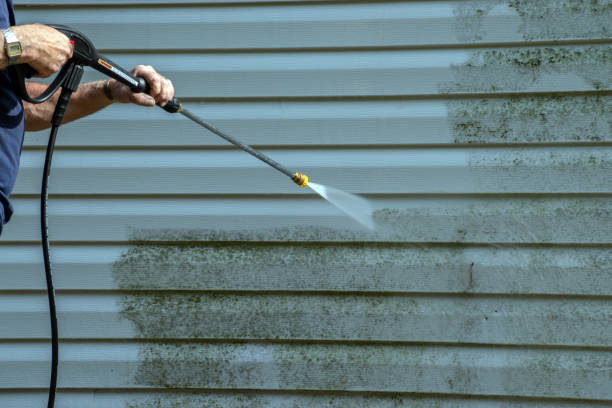 Best Building Exterior Washing  in Holiday, FL