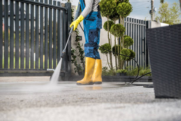 Best Graffiti Removal  in Holiday, FL
