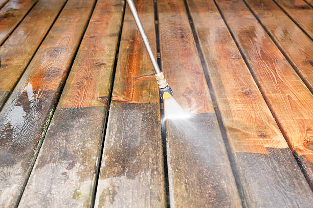 Best Fence Cleaning  in Holiday, FL